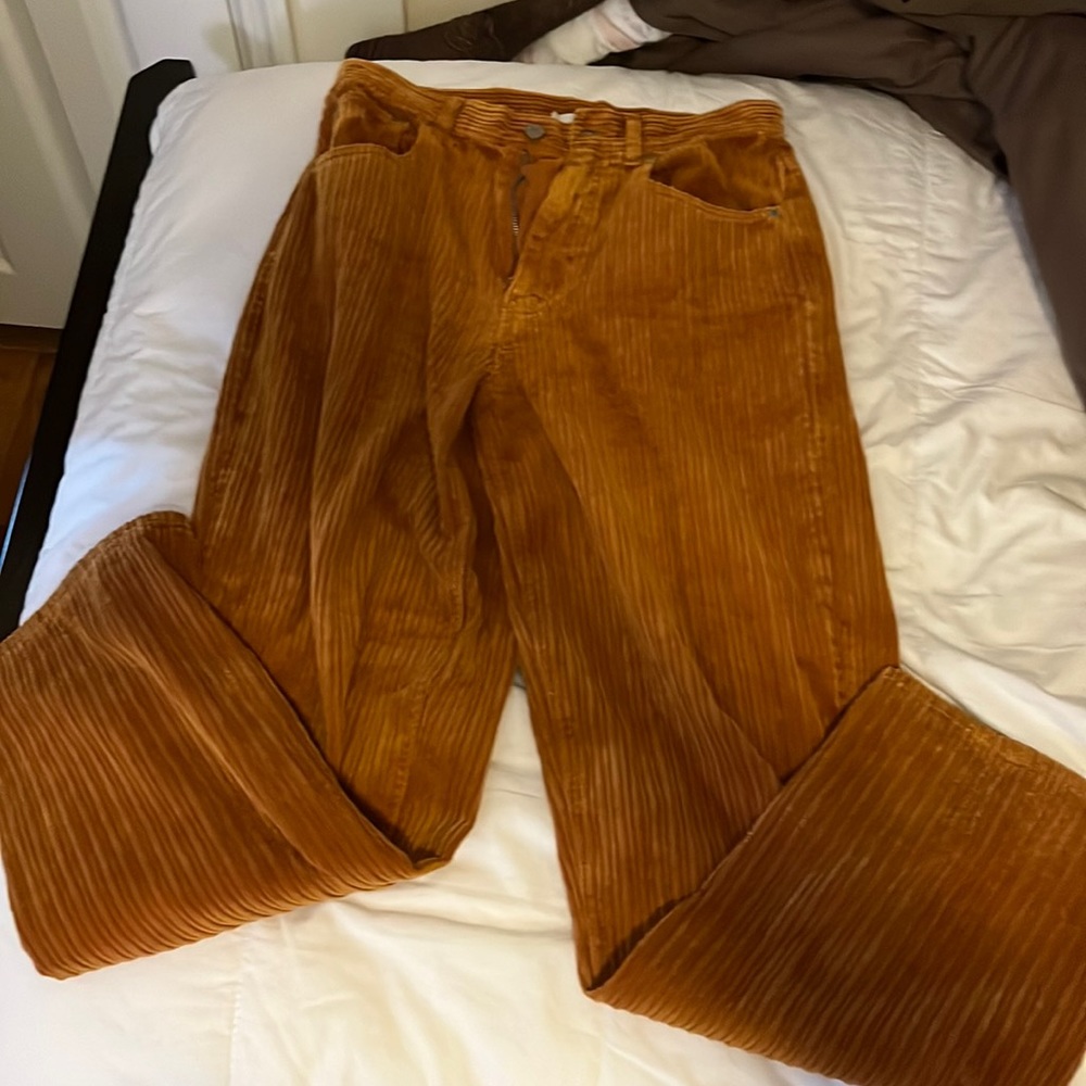 COPY - Urban Outfitters BDG pants
